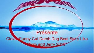 Clever Cat Dumb Dog Funny Story like Tom and Jerry