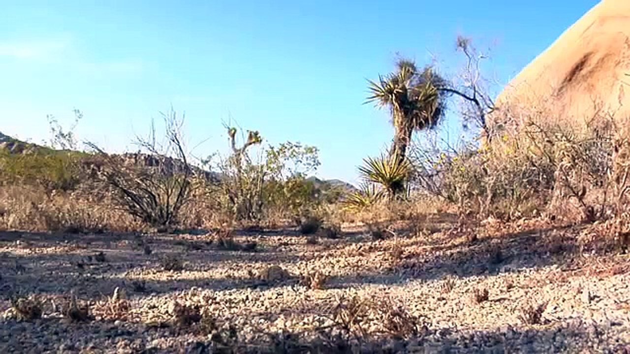 Jockey Shapers - No Panty Line Promise Collection