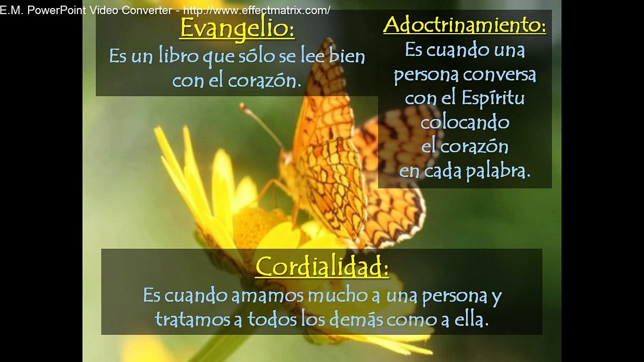 VOCABULARIO DE LA VIDA