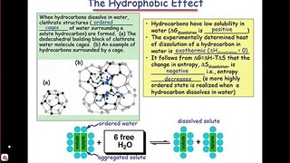 The Hydrophobic Effect