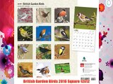 British Garden Birds 2016 Square 12x12 Free Download Book