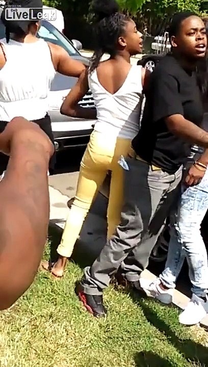 Ghetto Fights: Gun Pulled, Hardcore Lesbian, & Baseball Bat!!
