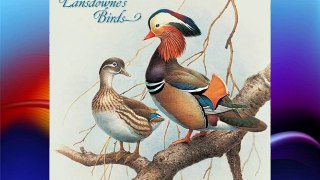 Lansdowne's Birds 2013 Calendar Download Free Books