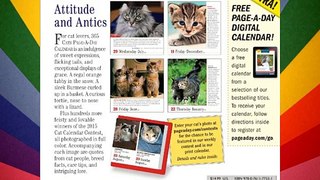 365 Cats 2015 Page-A-Day Calendar Download Books Free