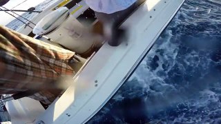 San Diego Yellow Fin Tuna Fishing August 16, 2015