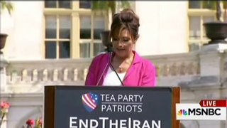 Sarah Palin confounds Rachel Maddow - 'Tell me what this means' -