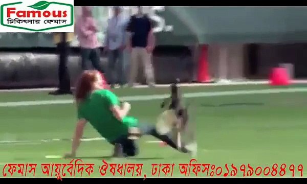 ফানি ভিডিও বাংলা , কুকুরের শো । Funny video 2015 , dog show .Whatsapp Funny Videos