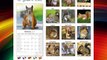 Squirrels Calendar - 2015 Wall calendars - Animal Calendar - Monthly Wall Calendar by Avonside