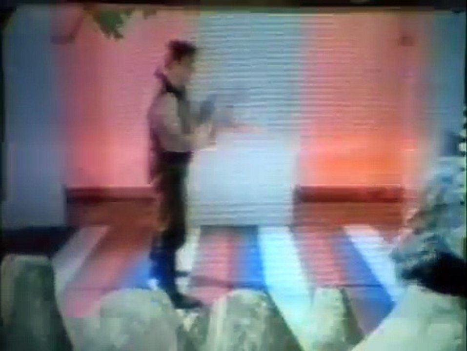 Pocket Ninjas - Sonic Virtual Reality Fight