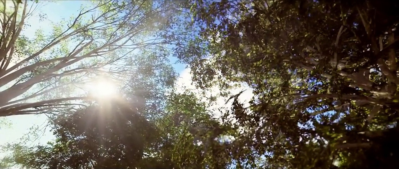 Arsim Bunjaku - Aldi i nanes (Official Music Video)