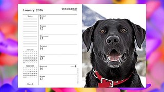 2016 What Labs Teach Us Engagement Calendar FREE DOWNLOAD BOOK