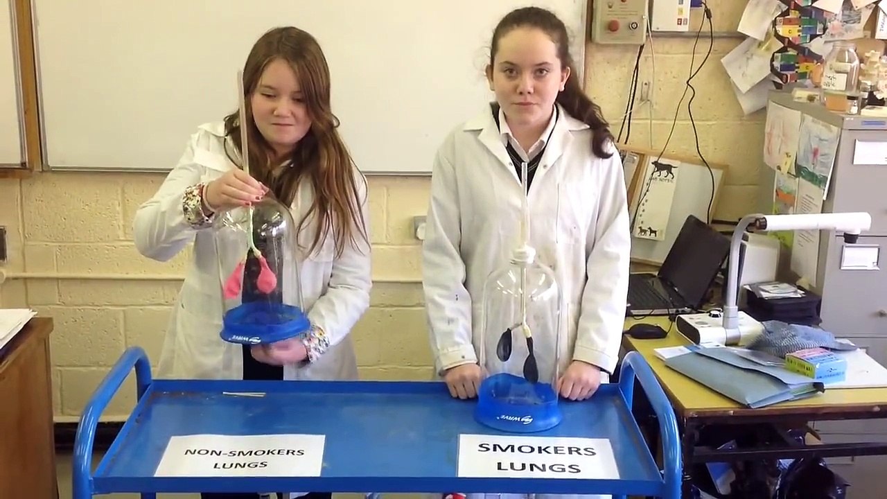 CCS: Don't Smoke Mr. Bean