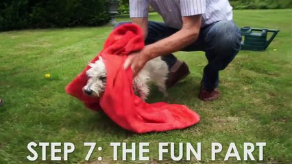 PUPPY'S-FIRST-BATH-TIME!---Hattie-the-Westie