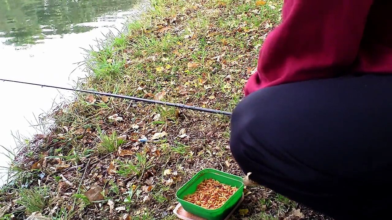 Float fishing on Grand Union Canal fishing for perch and roach