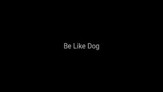Be like dog ( DMV)