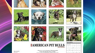 2016 Just American Pit Bull Terriers Wall Calendar Free Download Book