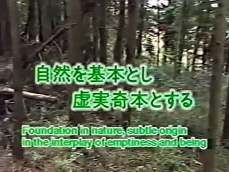 Ninjutsu Shinden Fudo Ryu Bujinkan