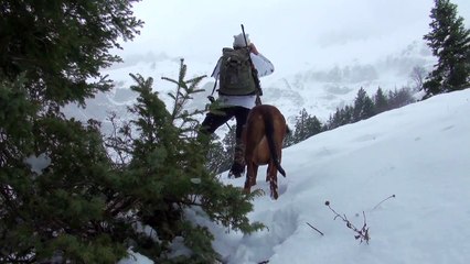 novembre 2010 chasse au  chamois dans le blizzard