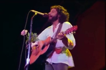 Cat Stevens - Peace Train (live)