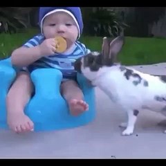 This rabbit is a savage.. #ThugLife #bugsbunny #theif - Thug Life - RepeatTheVine