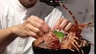 living lobster @ japanese cuisine 上引水產