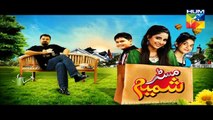Mr Shamim Episode 29 Full Hum Tv Drama September 12, 2015