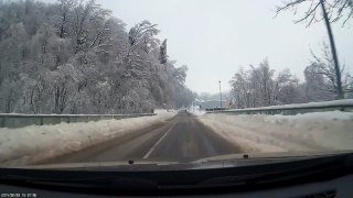 Falling tree near Tržič