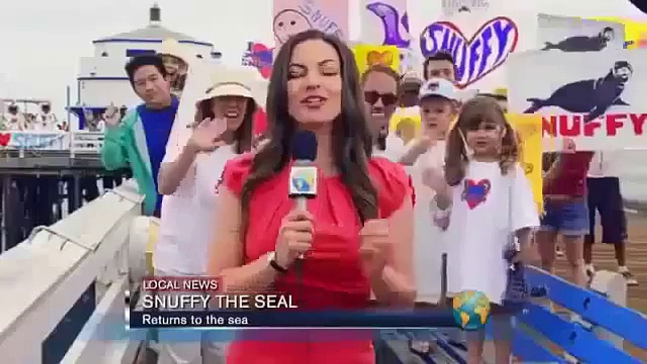 Dropped Into The Sea, And Seals Shark Snatched Out Of The Air.