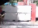 Cow out of control in Lahore - Must Watch Very Funny -
