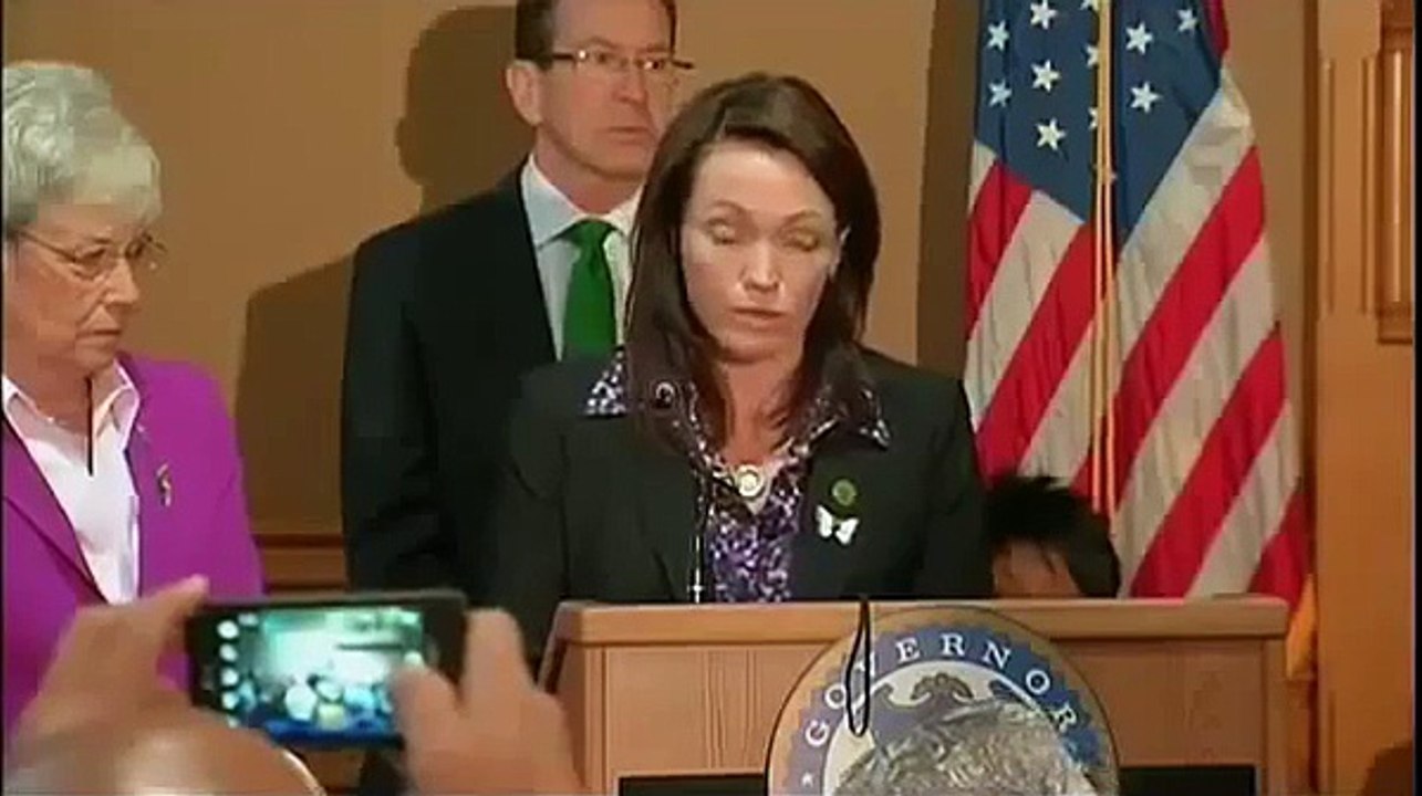 Gun bill is now law
