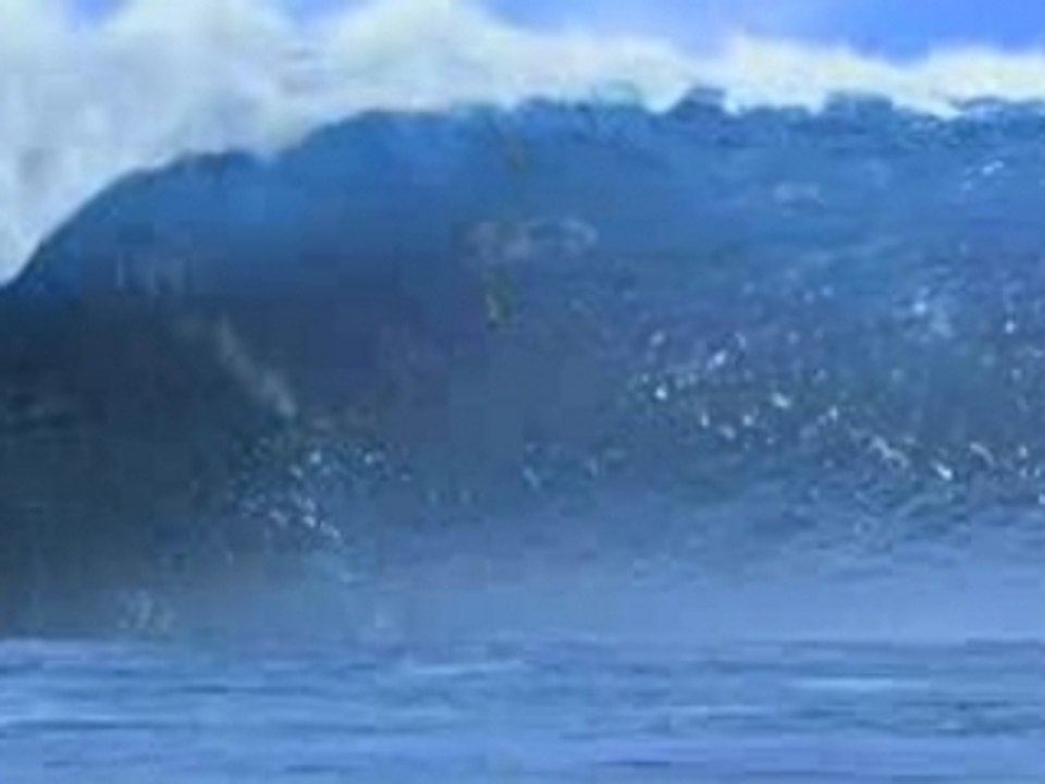 Surf's up vo trailer