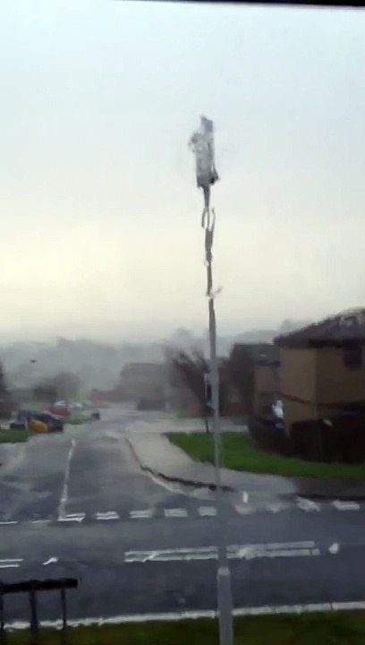 Omg Trampoline (ORIGINAL VIDEO)