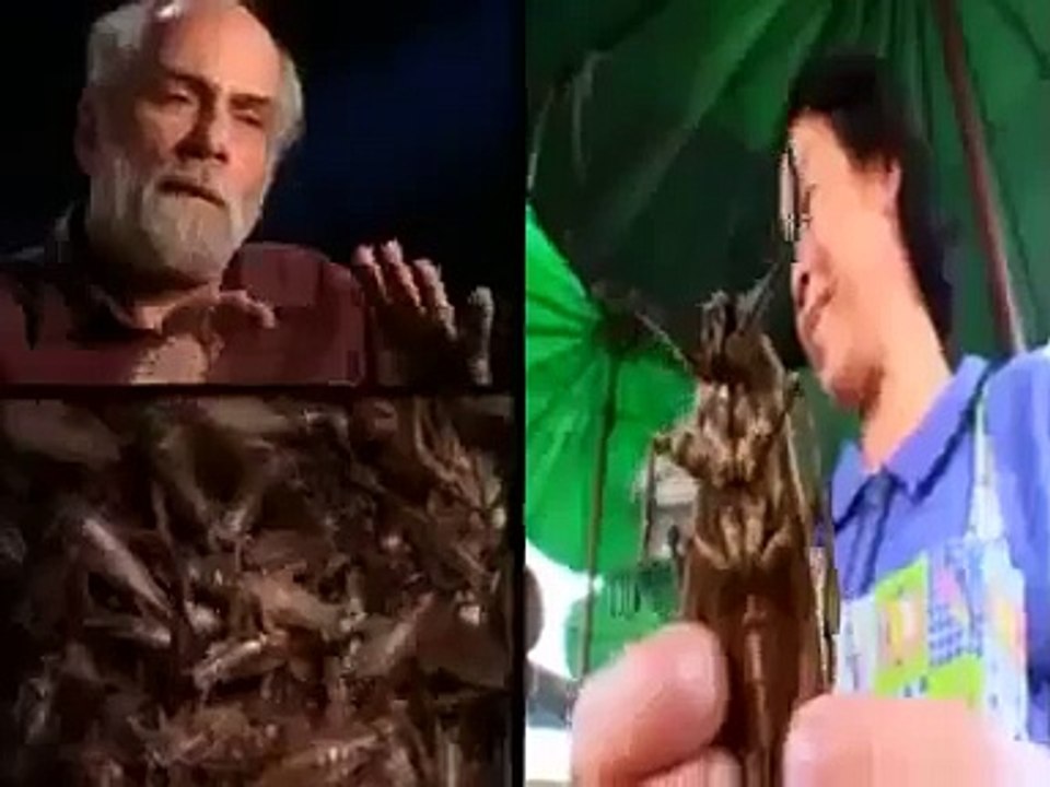 EXTREME ENTERTAINERS  TABOO   Discovery History Entertainment documentary