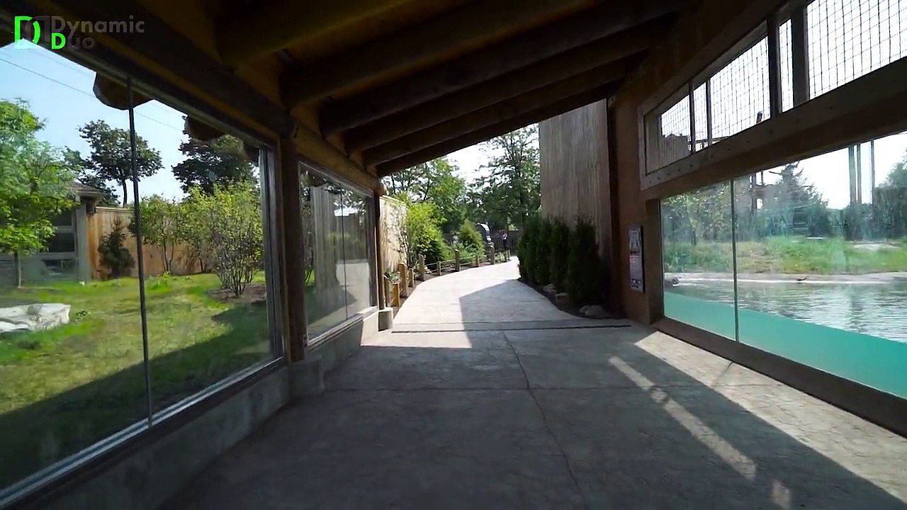 Arctic Edge | Buffalo Zoo