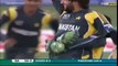 *Bunny Alert*  Shahid Afridi vs AB de Villiers - All 5 Dismissals