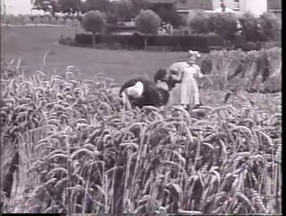 Kortrijk 1946  Rollegem Boerenleven  - Paul Castaing films