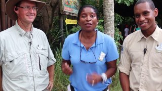 Review on Wild Africa Trek at Walt Disney World's Animal Kingdom