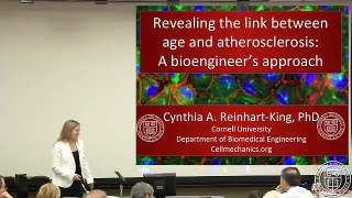Cynthia Reinhart-King | Cornell's Next-Gen Leaders in the Life Sciences
