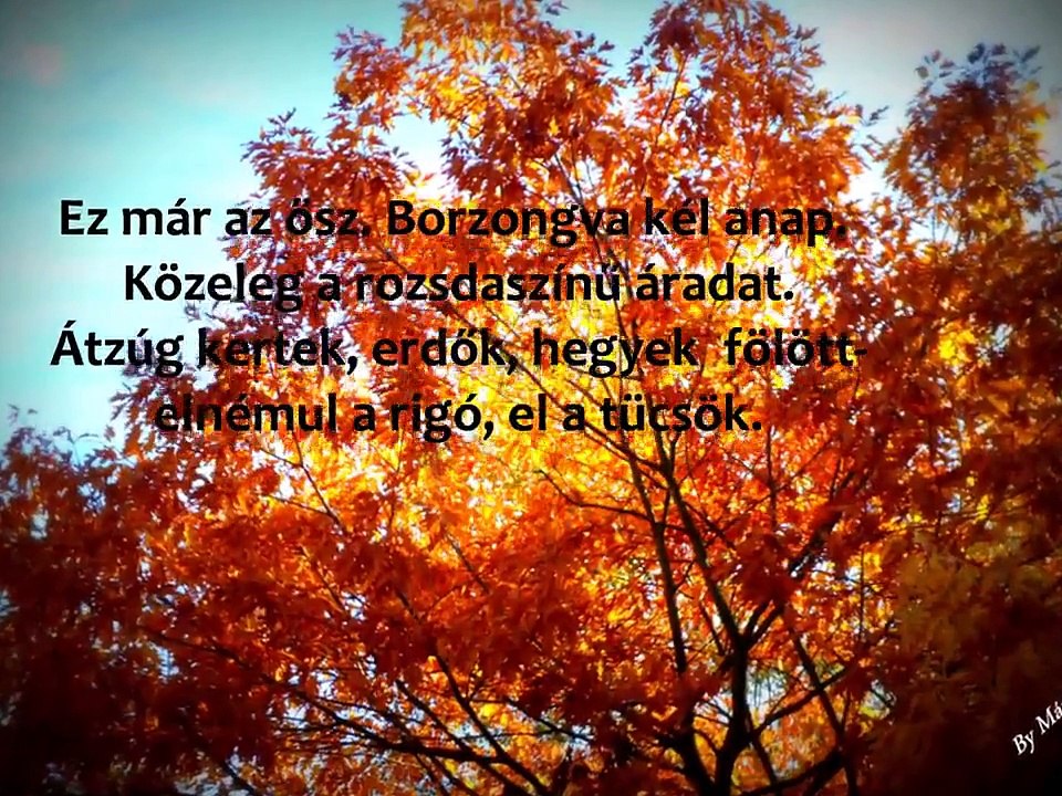 Ősz...Zene: Vangelis-Hymne