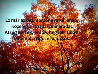 Ősz...Zene: Vangelis-Hymne