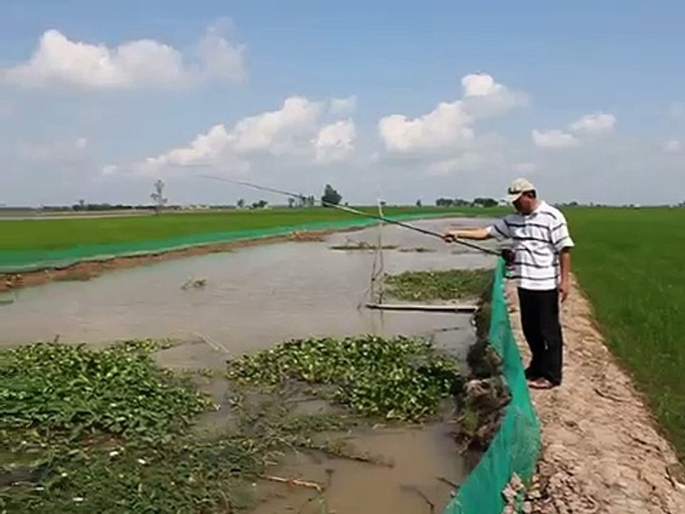 Fishing in Vietnam