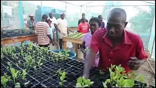 Haïti: « Jaden lavil » à Carrefour-feuille, un programme de développement agricole