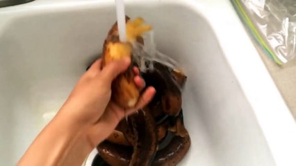 BEST BANANA COCONUT ICE CREAM BREASTFEEDING!