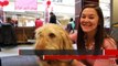 The Scarlet Scoop: Puppy love hits campus with Smooch-A-Pooch kissing booth