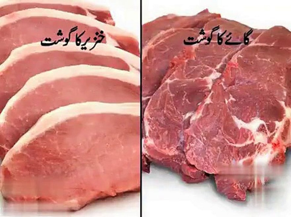 Difference Between Pork and Cow Meat -
