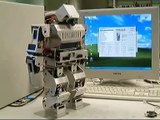 Robo Erectus Early Stage (Learning to pass object)