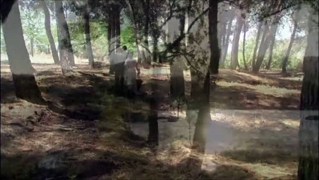 bosco, berta y beltran capitulo 1157