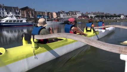 A la rencontre des phoques en baie de Somme au large de St Valery