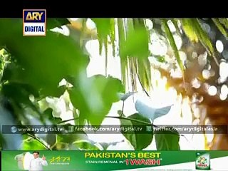 Meray Dard Ki Tujhai Kya Khabar Ep 20 - 12th September 2015