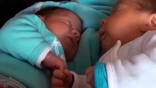 TWIN BABIES HOLD HANDS SO SWEET